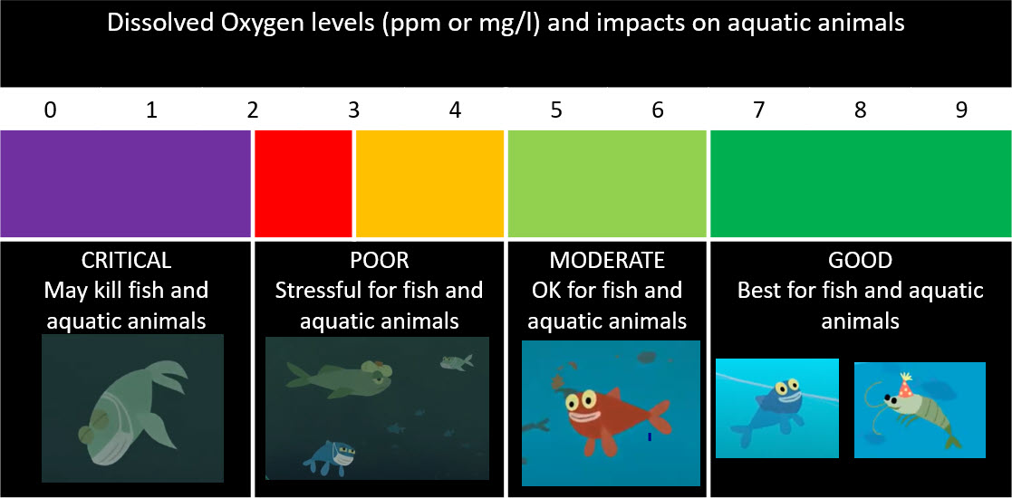 Water Quality and Dissolved Oxygen